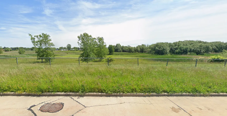 From Fertilizer Plant to Bird Sanctuary: Cleveland’s Puritas Wetland and Green Infrastructure